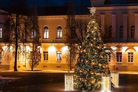 vidinis kiemas darželio Šilagėlė