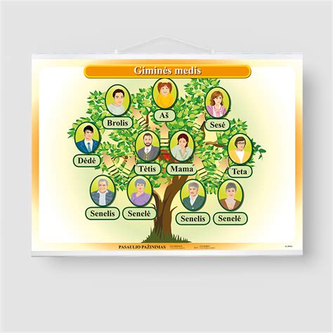 Schematinis giminės medis