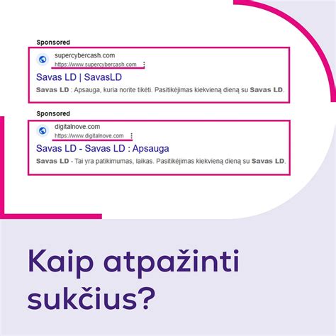 Interneto paieškos pavyzdys