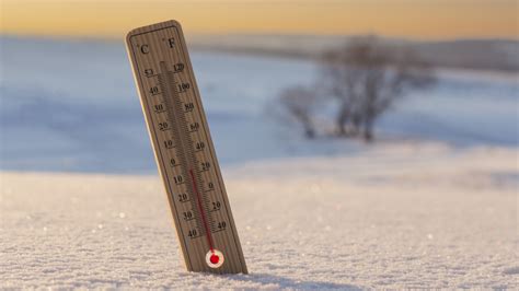 Optimali temperatūra mirtoms žiemą