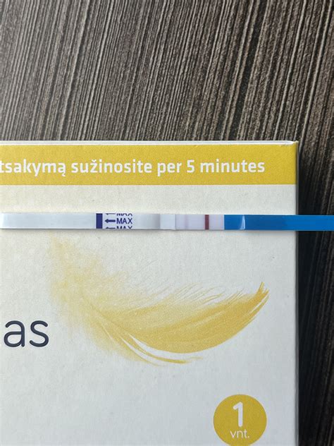 Nėštumo testas: kaip jis veikia ir kada jį atlikti