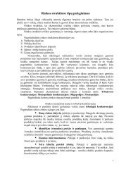 spiralės tipų palyginimas