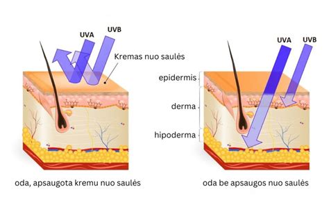 schematinis vaizdas kaip veikia SPF apsauga nuo saulės