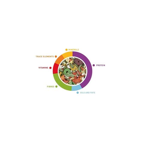 Vaisiaus augimo palyginimas su vaisiais ir daržovėmis