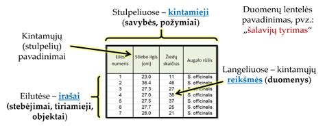 Lentelė: HCG tyrimo reikšmės skirtingose situacijose
