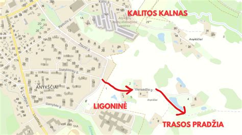 Vasaros rogučių trasa Kalitos kalne