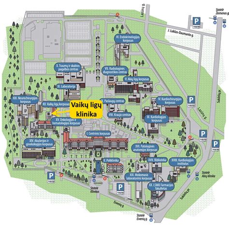 Žemėlapis, rodantis artimiausias ligonines su vaikų ligų skyriais