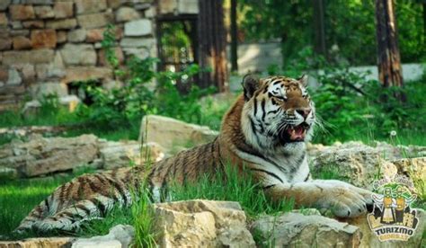 Rygos zoologijos sodas