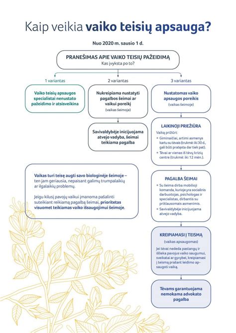 Vaiko ir šeimos poreikių vertinimo schema