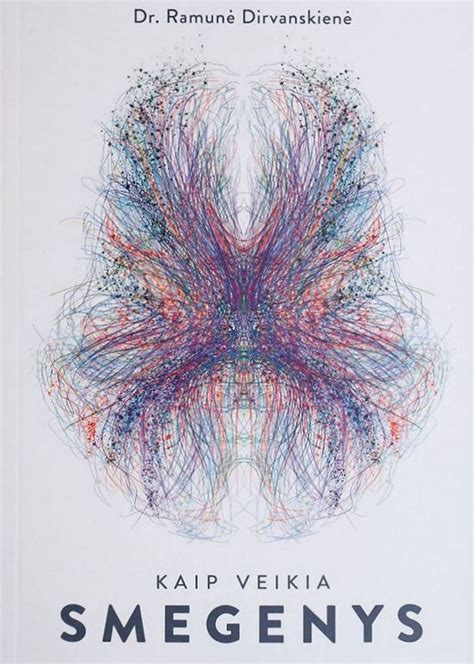 schematinis paveikslėlis, kaip veikia smegenys