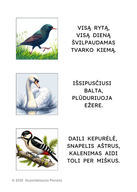 Mįslės apie gamtos ciklus ir reiškinius