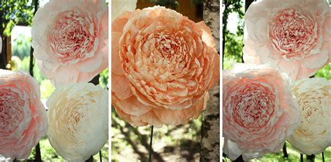 Popierinės gėlės ir drugeliai