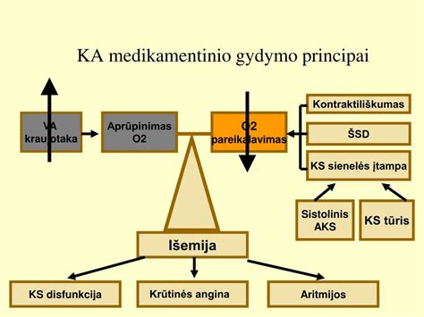 Schema: Ūminio gastroenterito gydymo principai