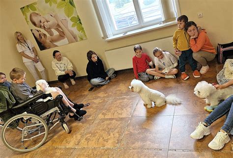 Gyvūnų terapija vaikų gimtadieniui