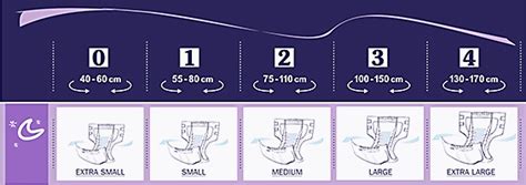 Anatominių sauskelnių suaugusiems schema