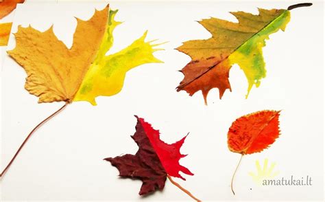 Rudeniniai lapai vaikų darbe
