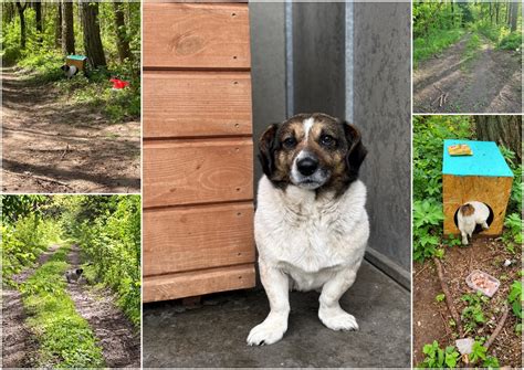 Nuotrauka, vaizduojanti didelę šeimą