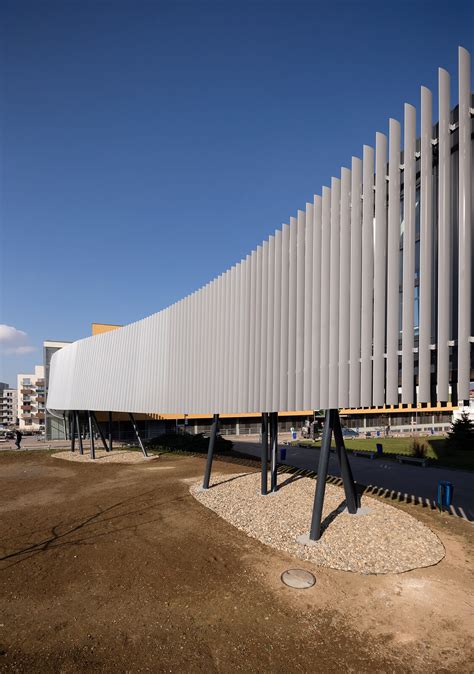 Scheminis vaizdas, kaip didėjantis pilvas keičia laikyseną