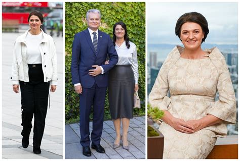 D. Nausėdienės stiliaus apžvalga