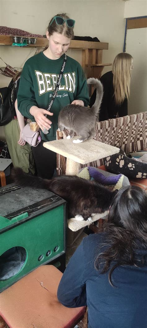 Kačių kampelis prieglaudoje