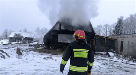 Gyvūnų prieglauda su gyvūnais