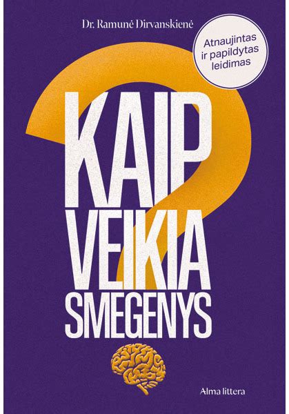 schematinis pavaizdavimas kaip veikia slapukai