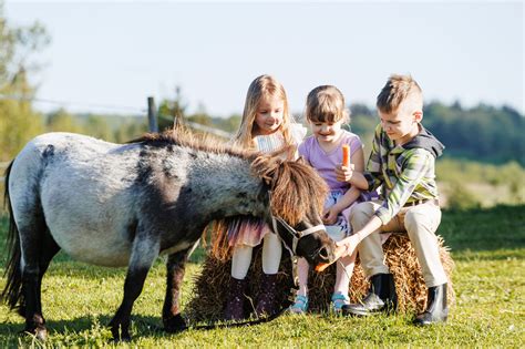 Vaikų gimtadienis gamtoje su gyvūnais