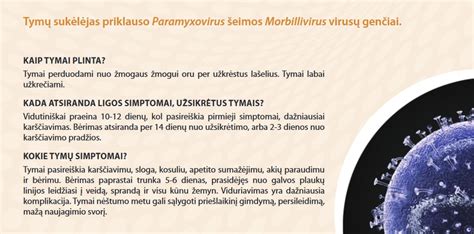 Schema, kaip plinta kiaulytės virusas