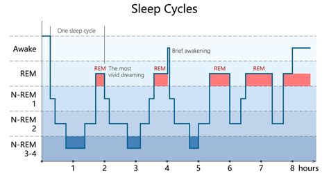 schema of sleep cycles in children