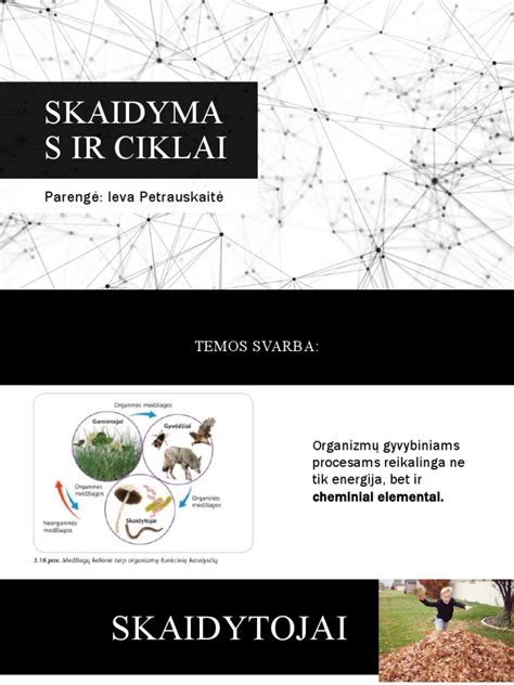 Bioritmų dėsniai ir ciklai