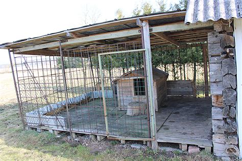 Gyvūnų globos namų voljeras su šunimis