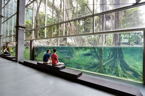CosmoCaixa muziejus