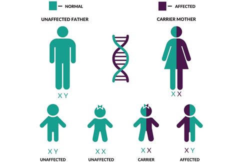 schema of inheritance process
