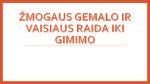 vaisiaus raida 9-12 savaitė
