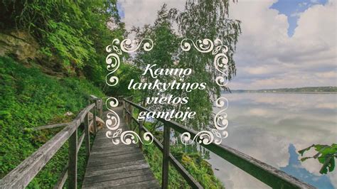 gimtadienio vietos gamtoje