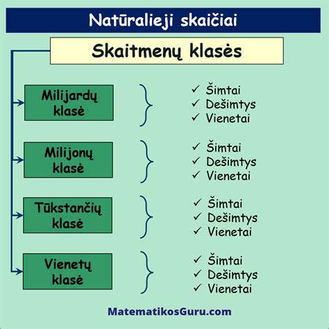 Skaiciu ir gimimo datos schematinis pavaizdavimas