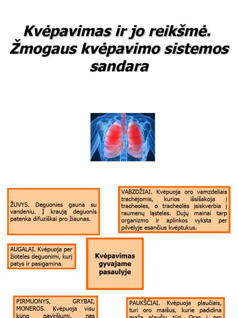 infografika: skysčių svarba karščiuojant