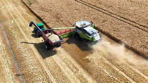 infografika apie GPM lengvatą