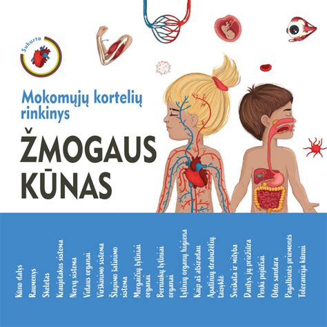 Mokomosios kortelės su žmogaus kūno dalimis
