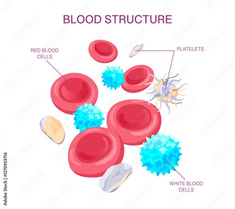 medical infographic explaining blood platelets