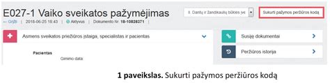 Vaizdinė instrukcija, kaip peržiūrėti pažymą naudojant peržiūros kodą