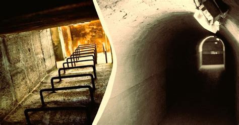 Laiko skalė atsigavimo po saulės smūgio