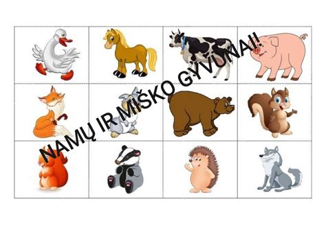 Miško gyvūnai žaidime