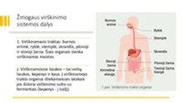 Kūdikio virškinamasis traktas