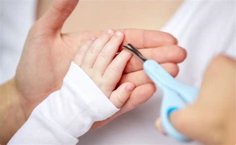 scheminis vaizdas kaip taisyklingai kirpti kūdikio nagus