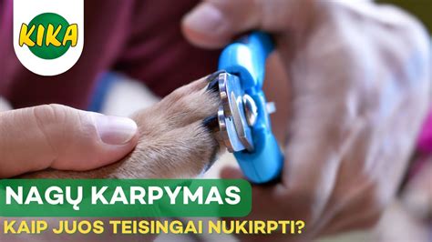 infografika: kaip taisyklingai kirpti nagus, kad jie neįaugtų