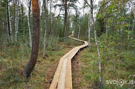 Pažintinis takas Šventosios miške