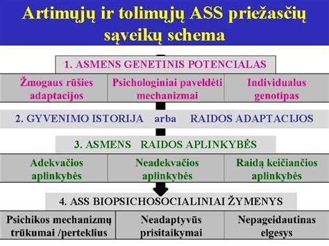 Priežasčių schema