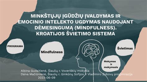 Vaizdinė schema, rodanti emocinio intelekto įtaką santykiams