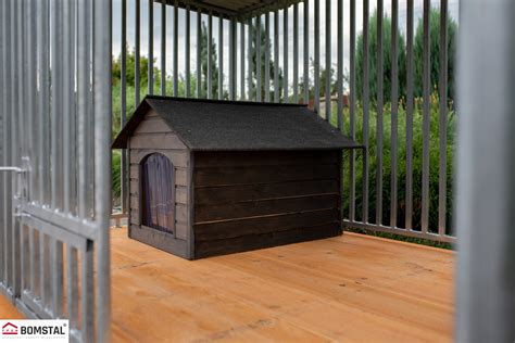 Šunų laikymo sąlygos: voljeras vs. namai